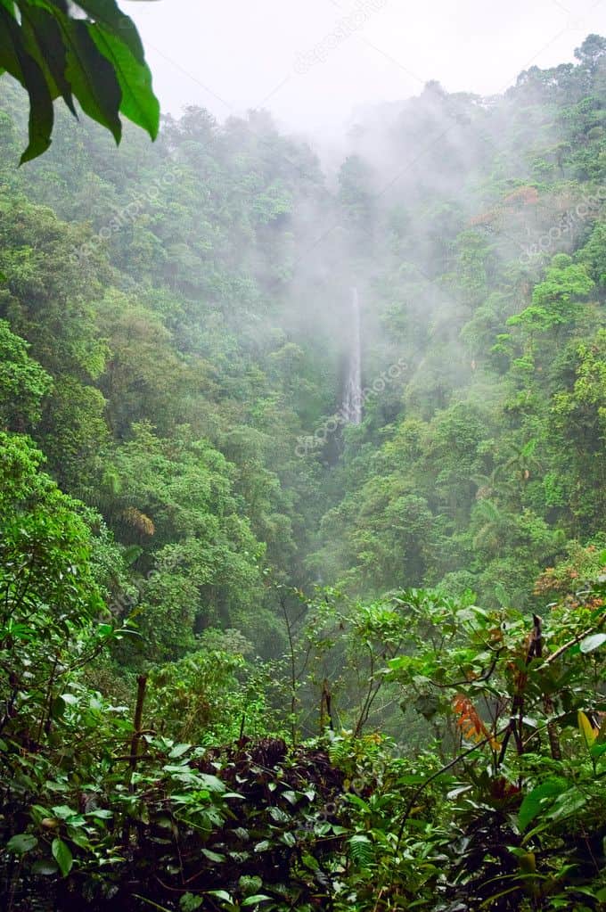Cascada Hola Vida