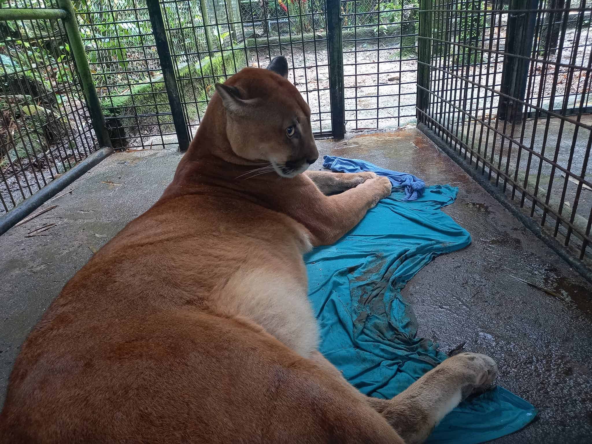 Zoológico El Arca