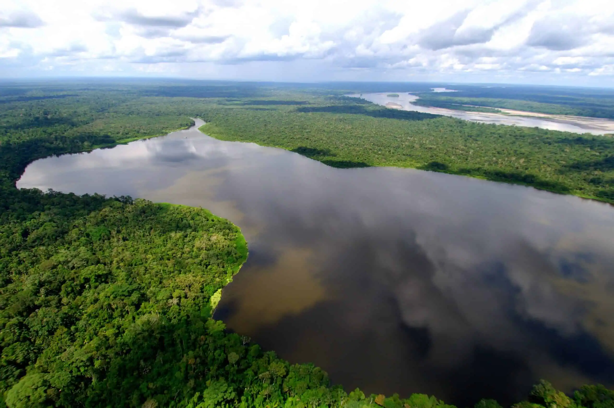 A Amazonia É Um Exemplo Desse Ambiente