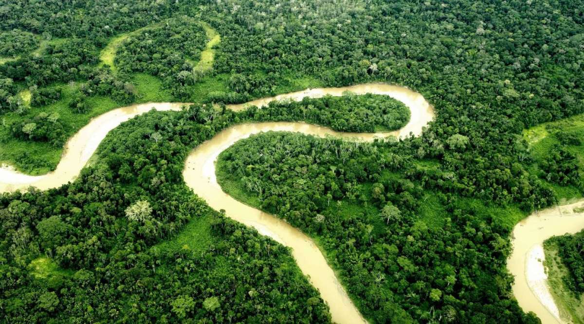 Parque Nacional Yasuní - Amazonia Explorer
