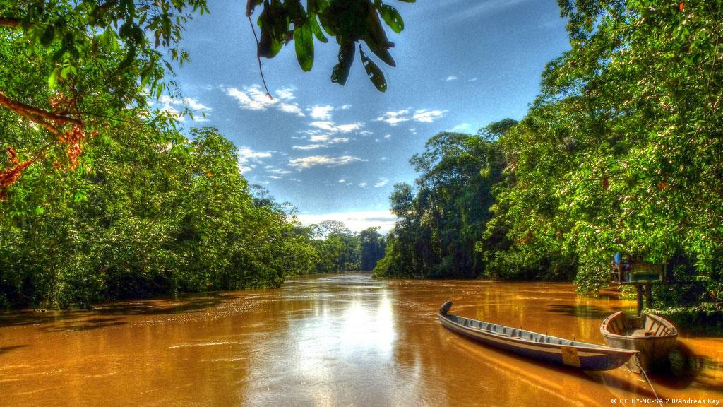 Parque Nacional Yasuní