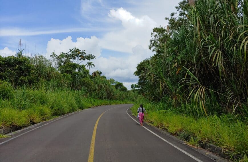 Como llegar a la amazonía ecuatoriana