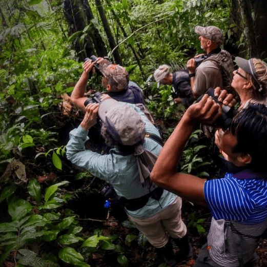 Shiripuno Amazon Lodge