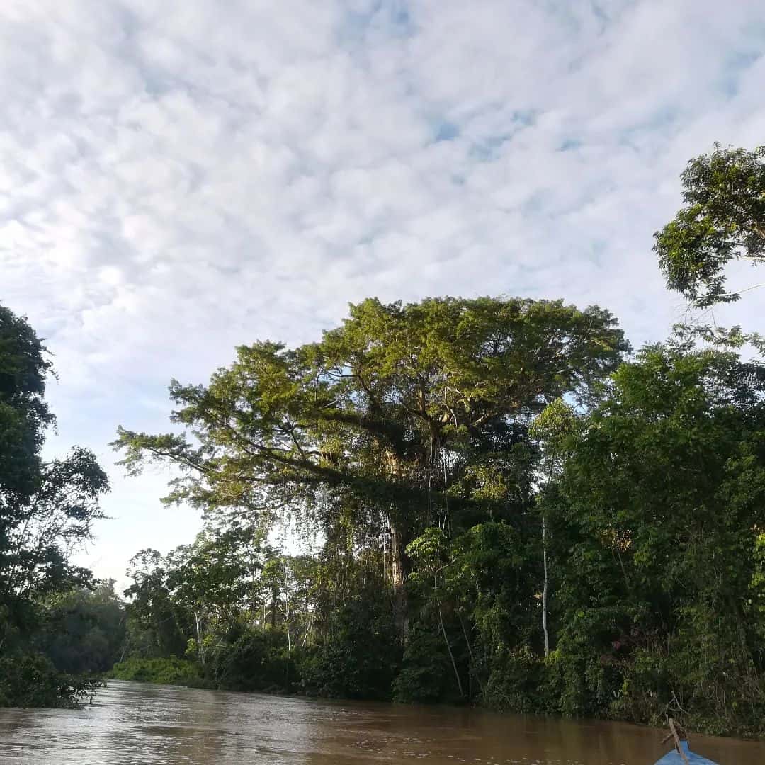 Shiripuno Amazon Lodge