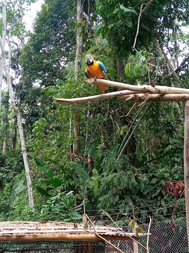 Parque Turístico Nueva Loja