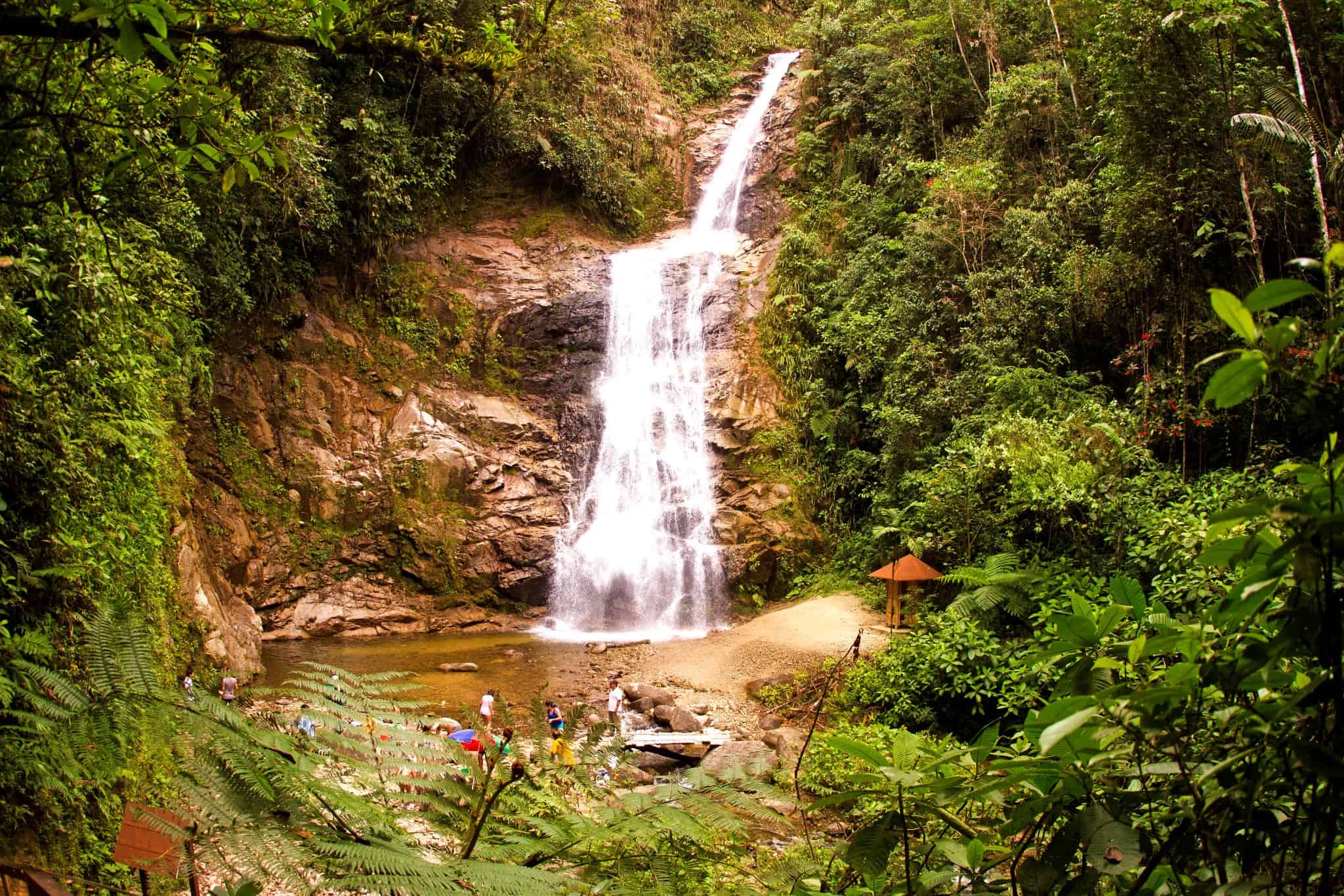 Parque Nacional Podocarpus